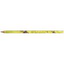 Image of BIC® Evolution Classic Cut End Digital Ecolutions® Pencil