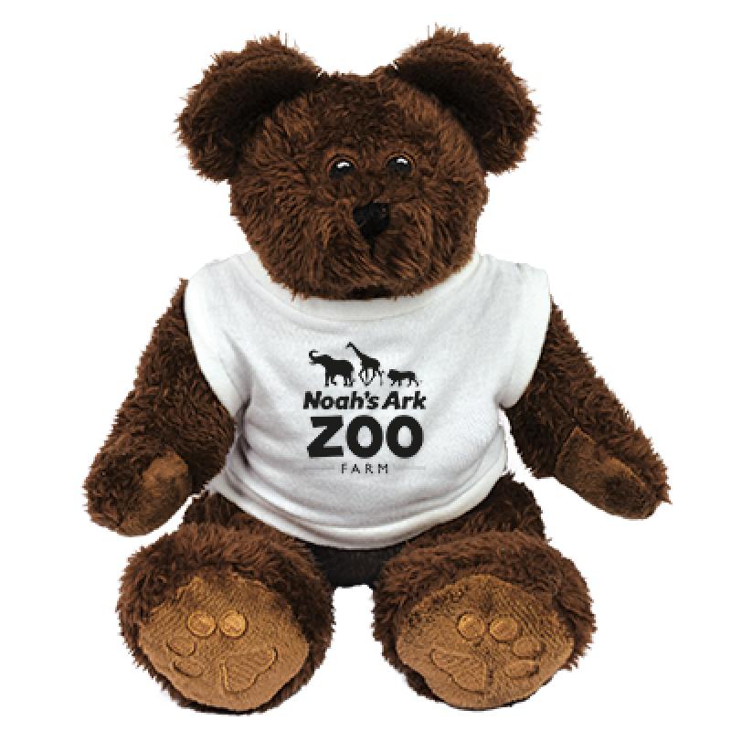 Image of 10" Charlie Bear with T Shirt